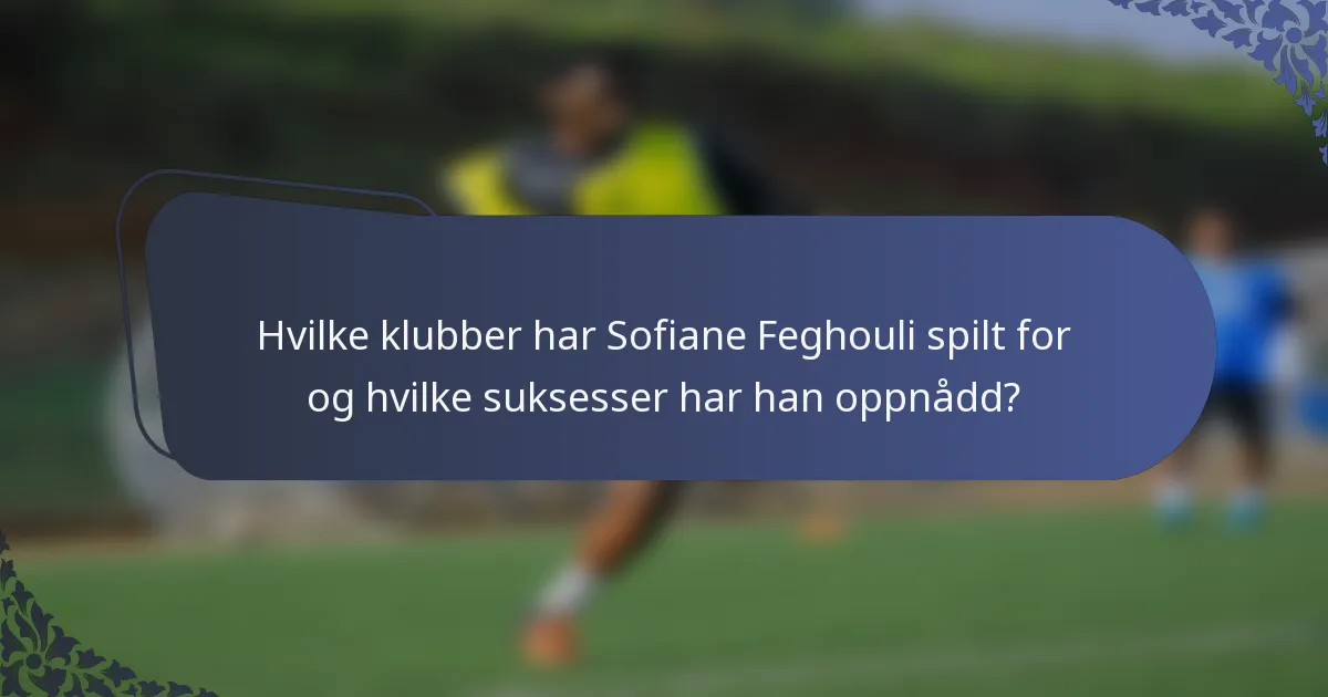Hvilke klubber har Sofiane Feghouli spilt for og hvilke suksesser har han oppnådd?