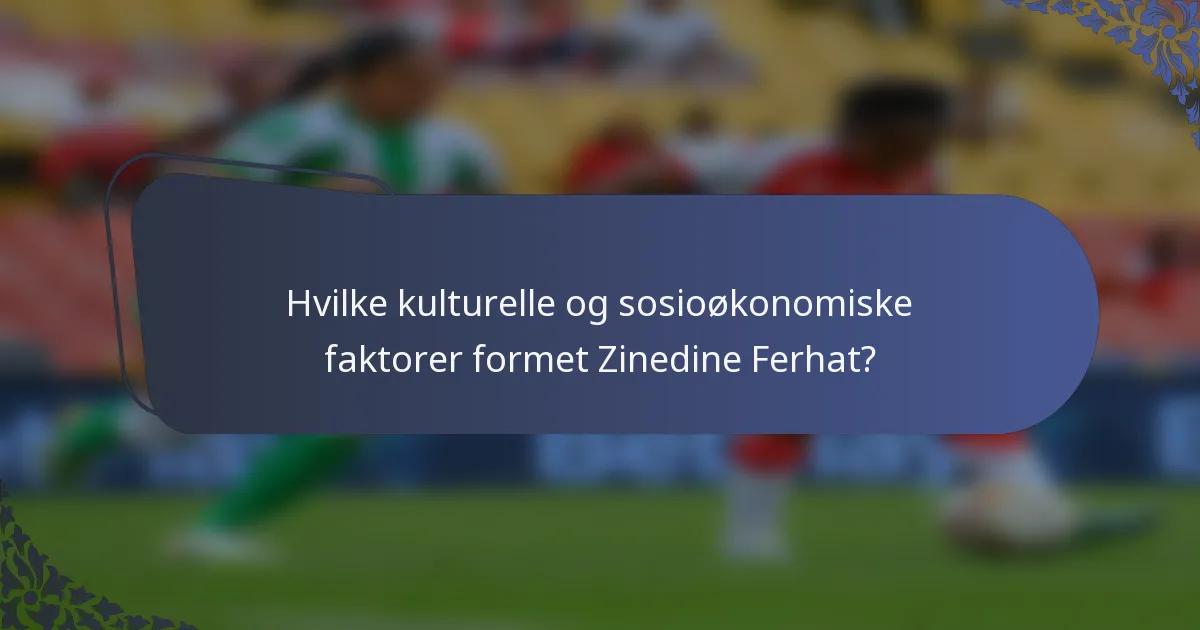 Hvilke kulturelle og sosioøkonomiske faktorer formet Zinedine Ferhat?