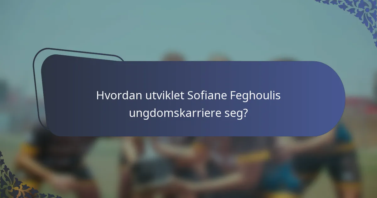 Hvordan utviklet Sofiane Feghoulis ungdomskarriere seg?